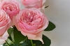 VICTORIAN PINK